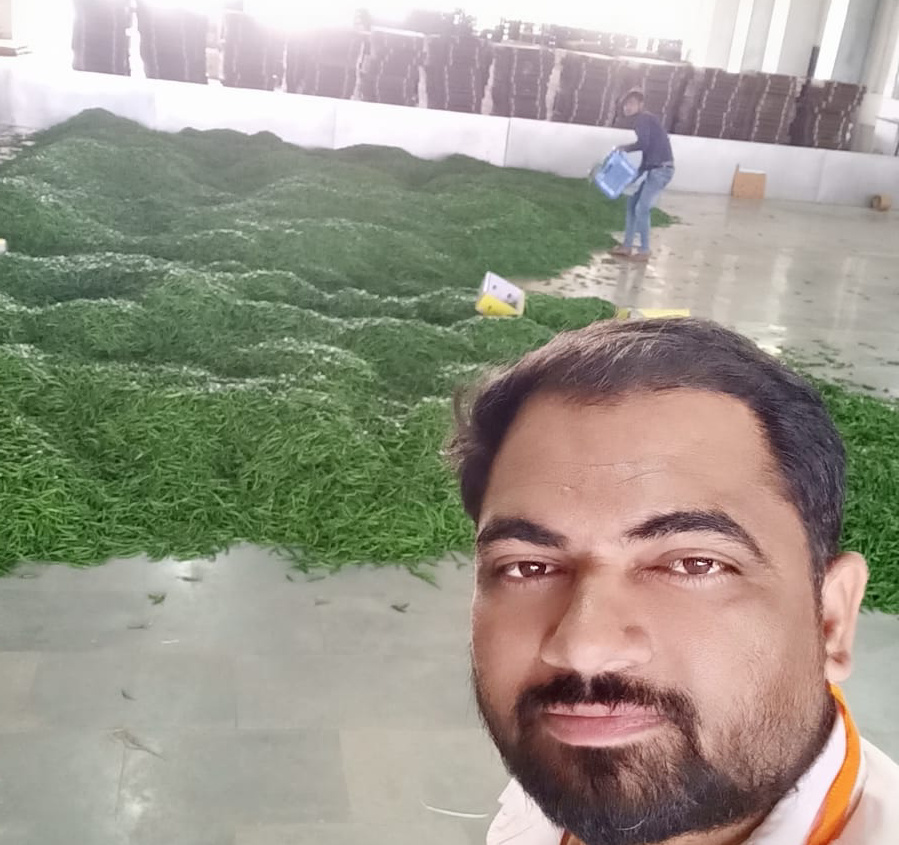 chilli cllection area