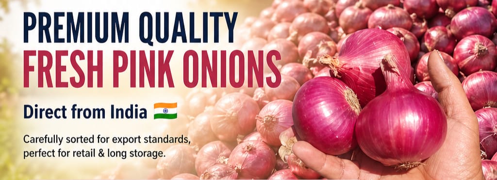 nashik onion