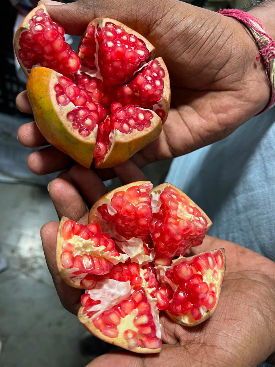 Pomegranate from Nashik